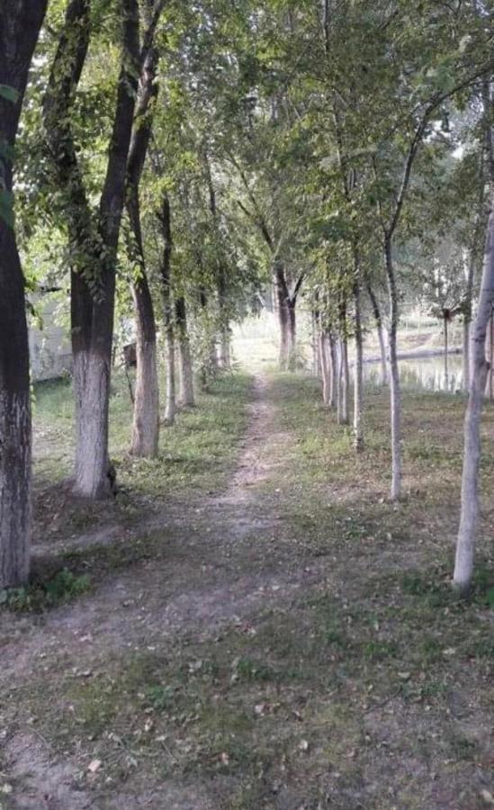 Чистые Пруды บิชเคก ภายนอก รูปภาพ
